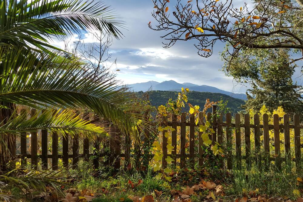 Photo of Outdoor in Reynes