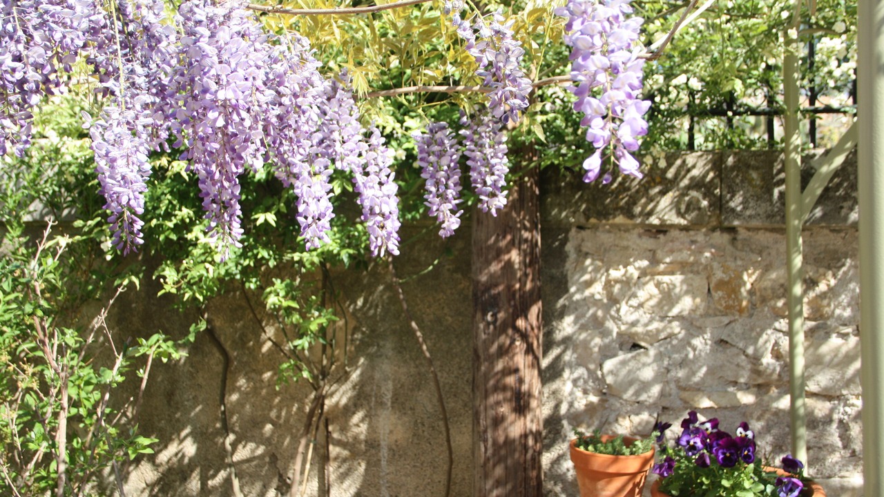 Photo of Outdoor in Causses-et-Veyran