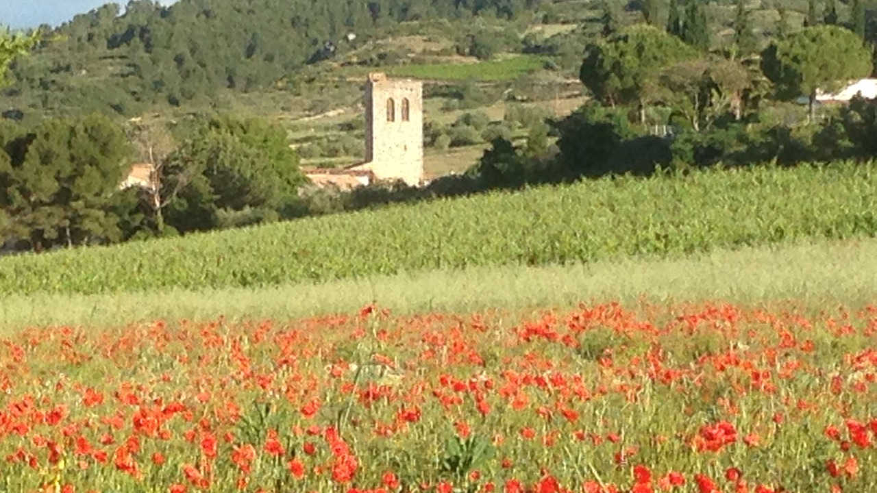 Photo of Outdoor in Causses-et-Veyran