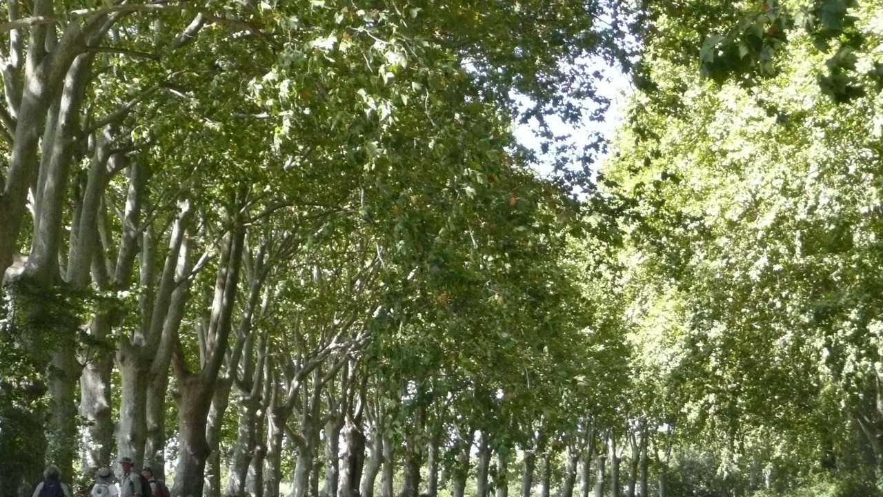 Photo of Outdoor in Causses-et-Veyran
