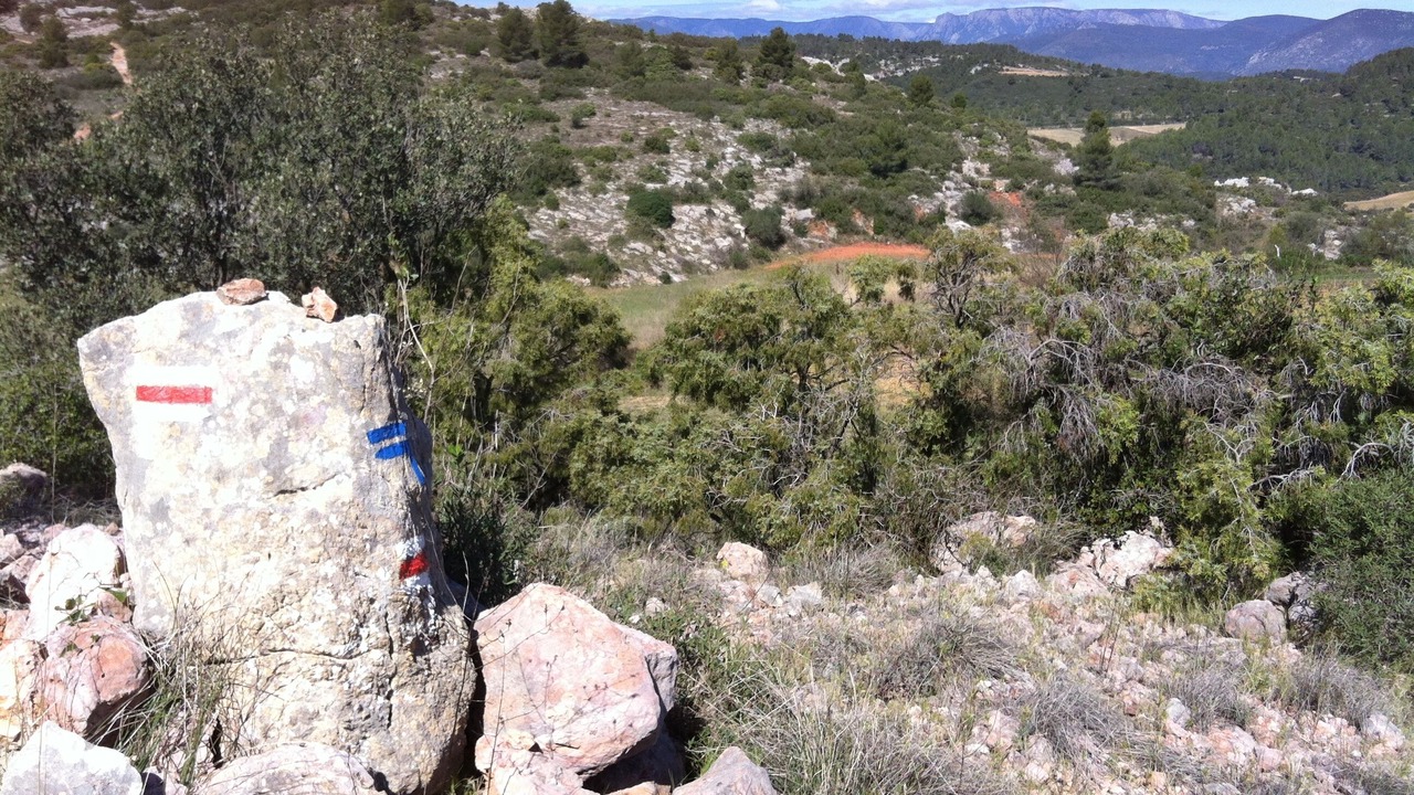 Photo of Outdoor in Causses-et-Veyran