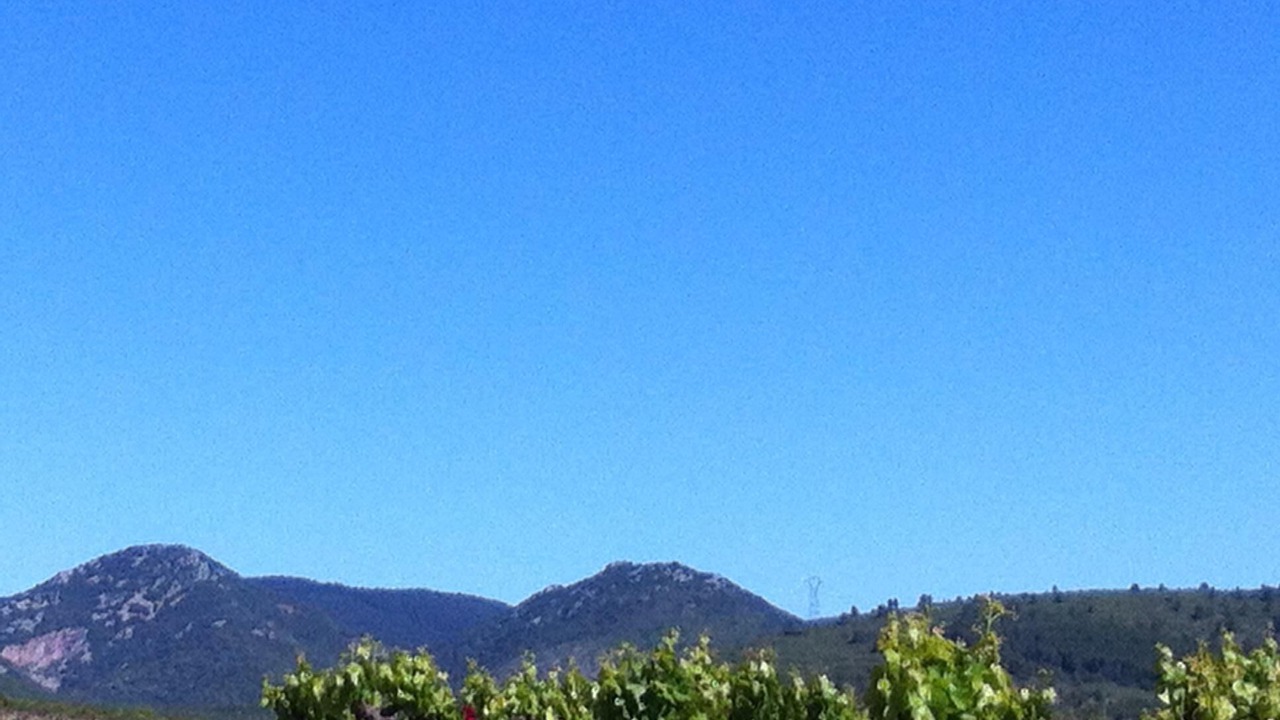 Photo of Outdoor in Causses-et-Veyran