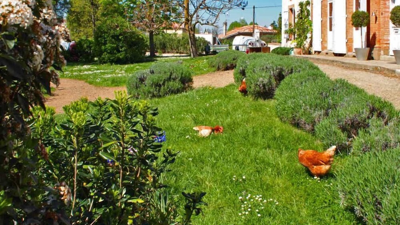 Photo of Outdoor in Saint-Nicolas-de-la-Grave