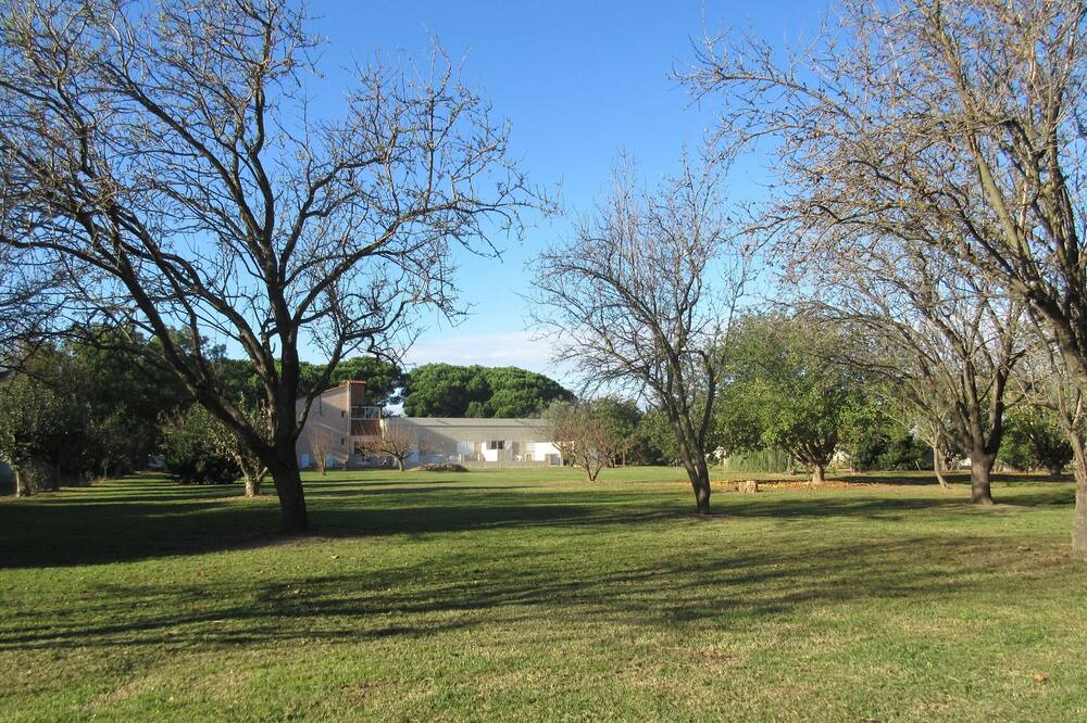 Photo of Outdoor in Saint-Cyprien
