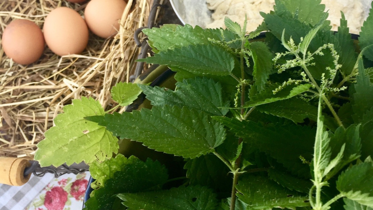 Photo of Outdoor in Vif