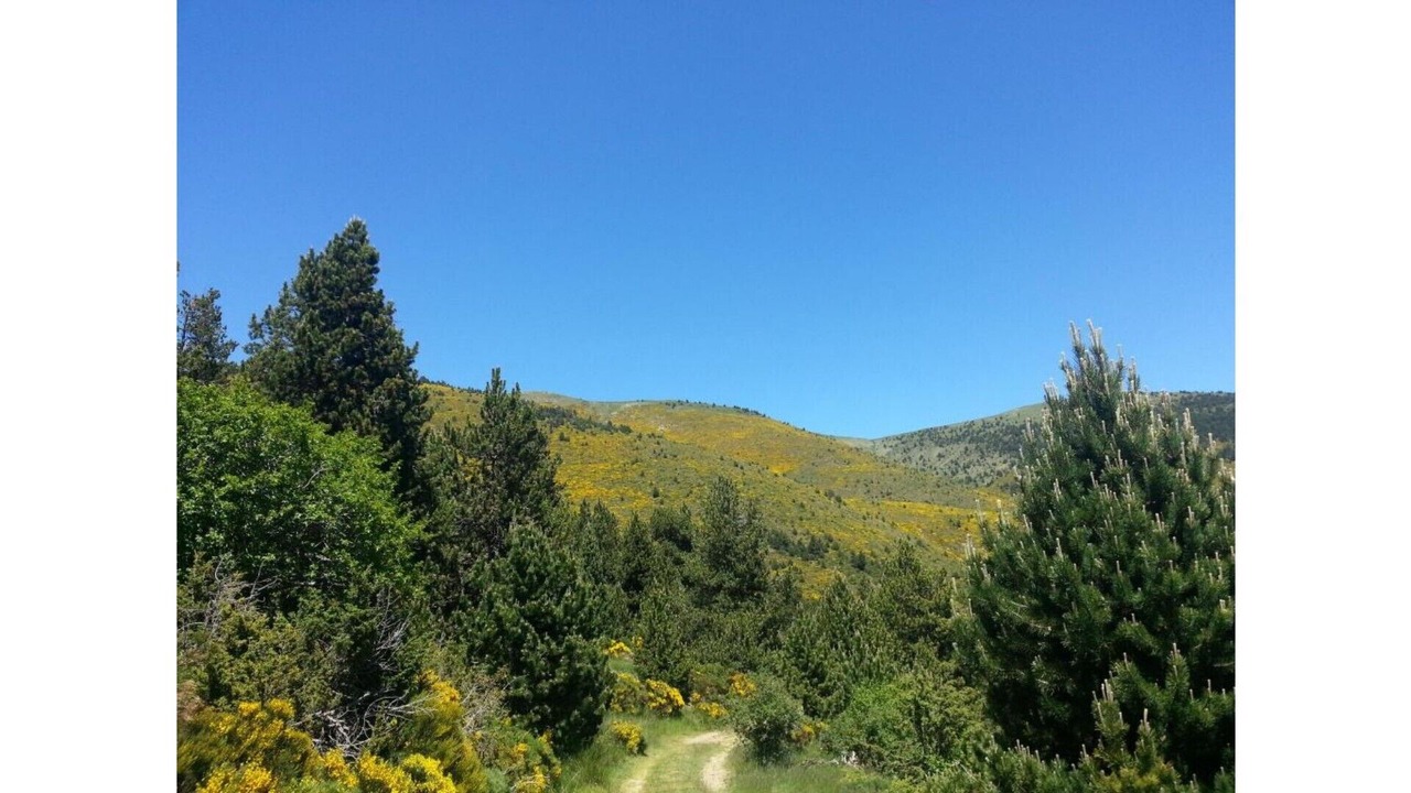 Photo of Outdoor in Puigcerda