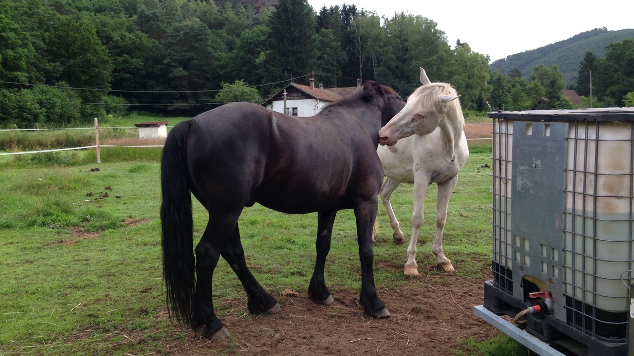 Photo of Outdoor in Obersteinbach