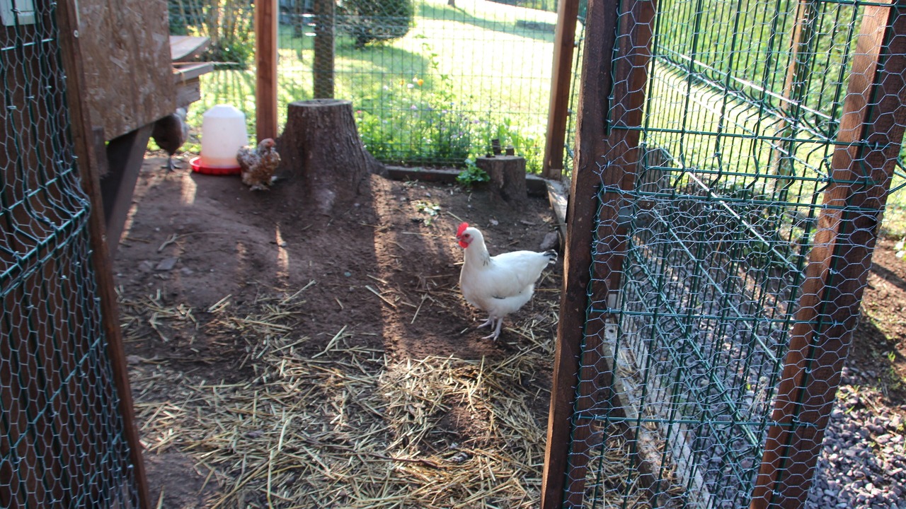 Photo of Outdoor in Obersteinbach