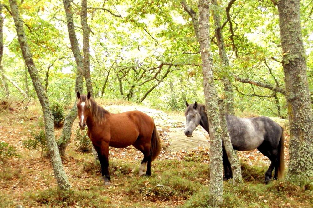 Photo of Outdoor in Santa Gadea