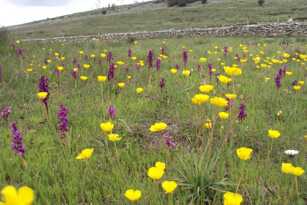 Photo of Outdoor in Santa Gadea