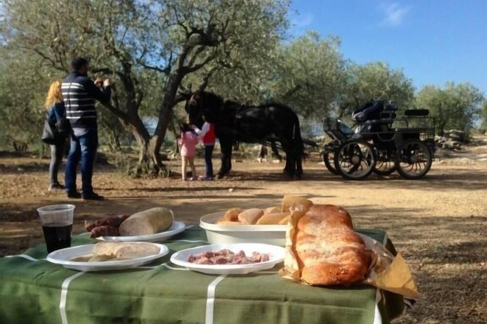 Photo of Outdoor in Avinyonet de Puigventos