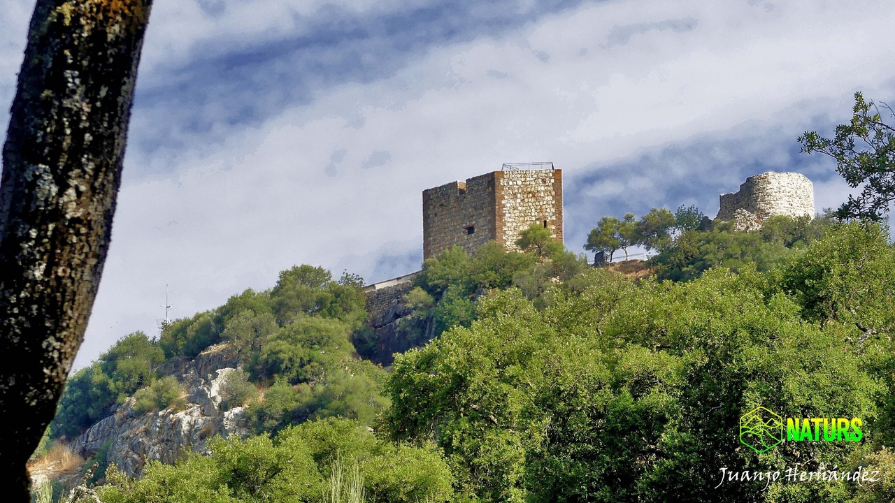 Photo of Others in El Torno