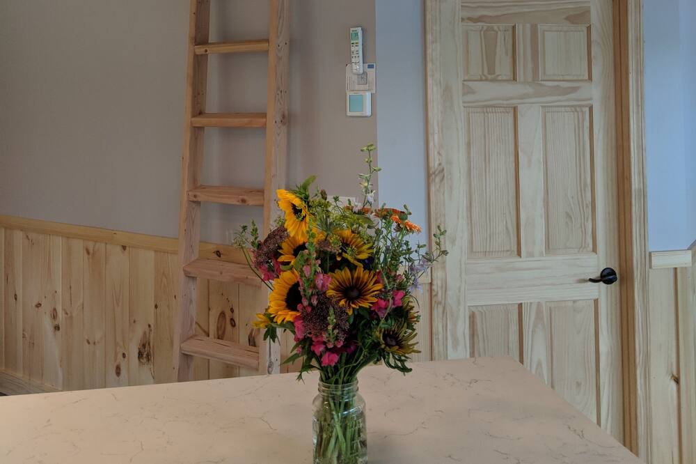 Photo of Others in Wolfeboro