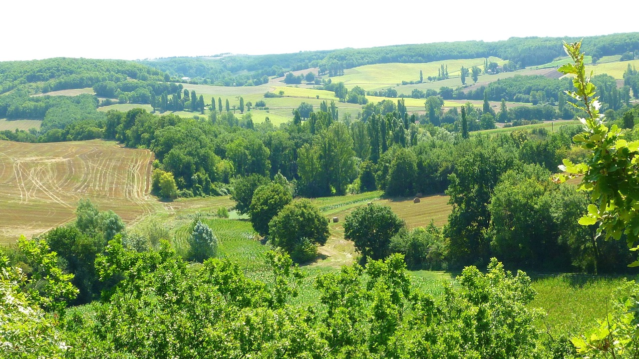 Photo of Outdoor in Saint-Vite