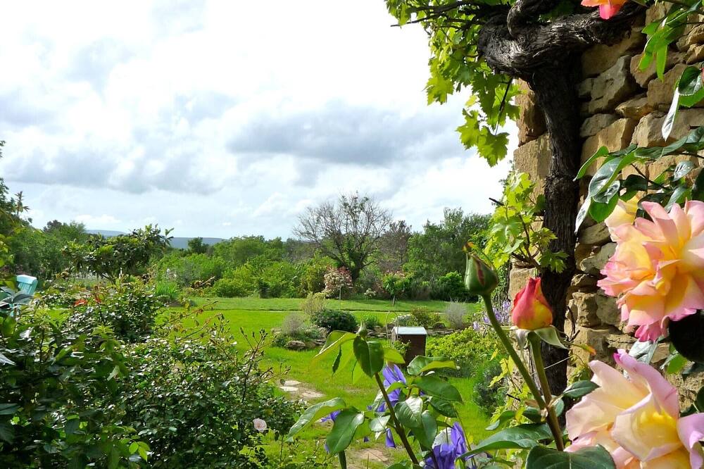 Photo of Others in Saint-Andre-d'Olerargues