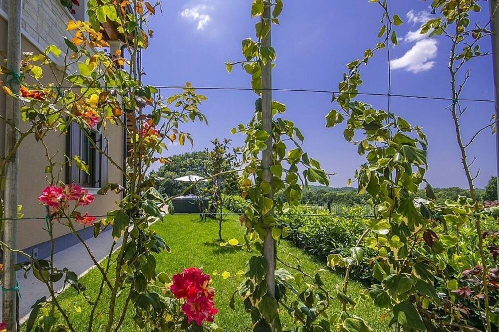 Photo of Outdoor in Jakovici