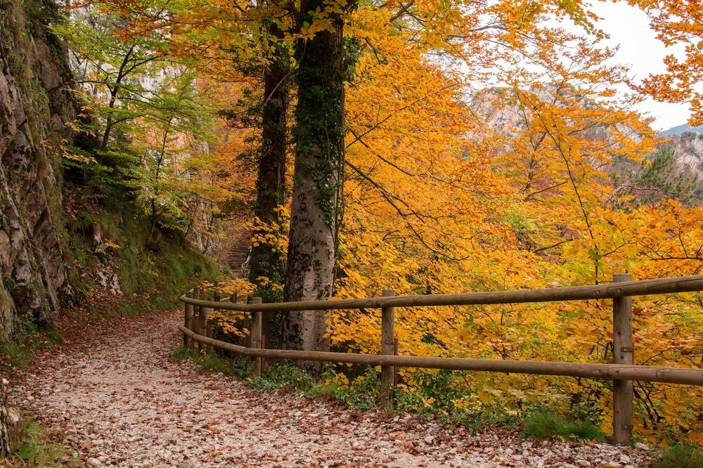 Photo of Outdoor in Berga