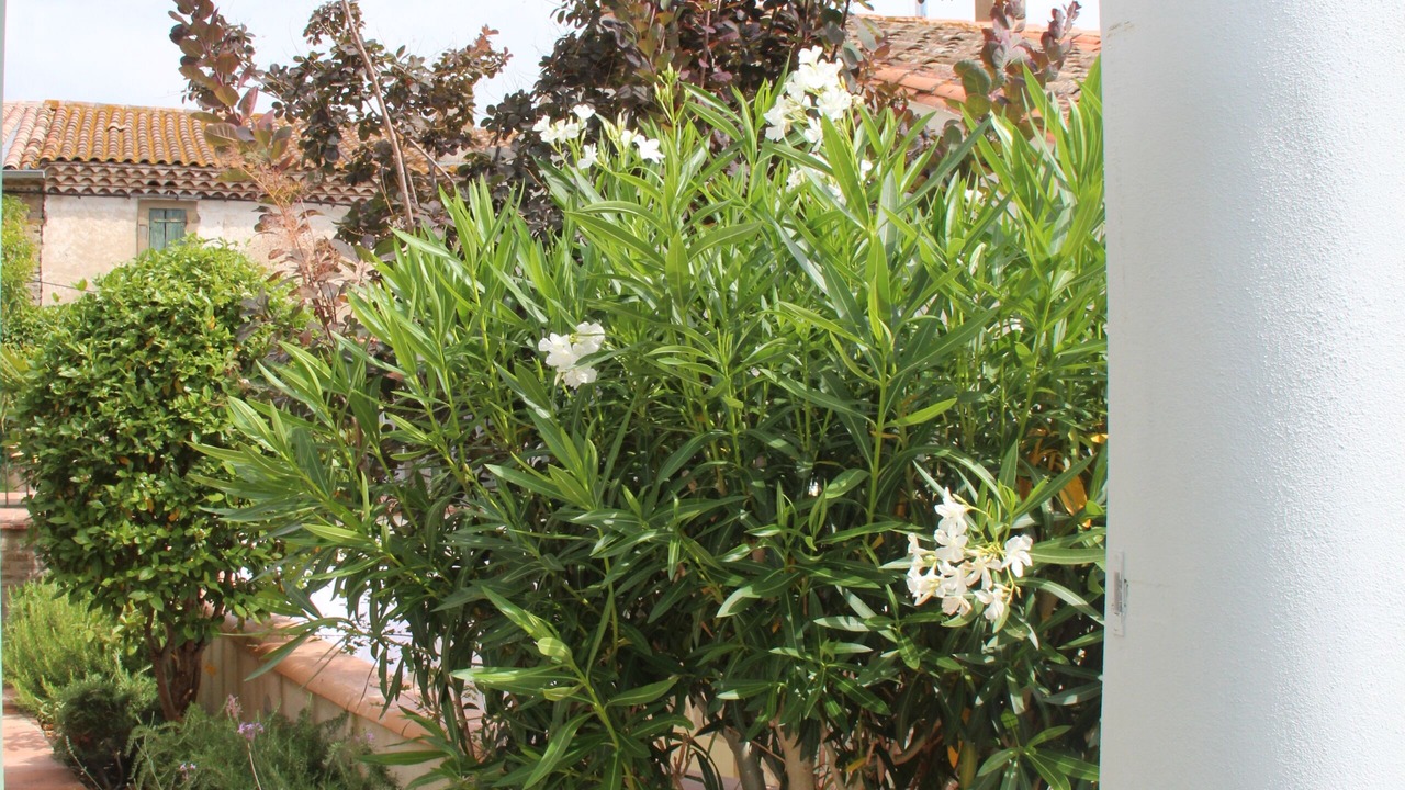 Photo of Outdoor in Villetritouls