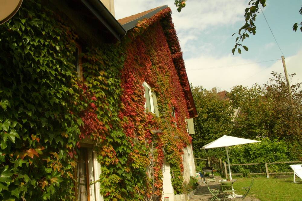 Photo of Outdoor in Chavannes-le-Veyron
