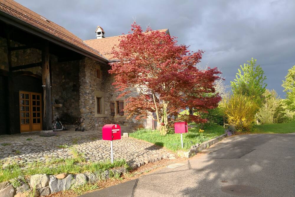 Photo of Outdoor in Chavannes-le-Veyron