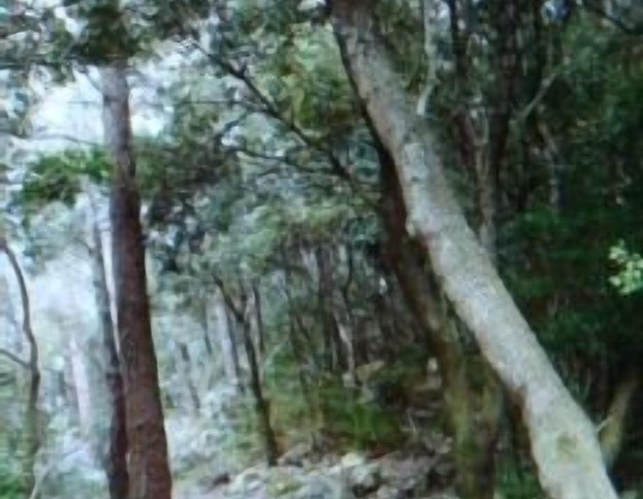 Photo of Outdoor in Pauls