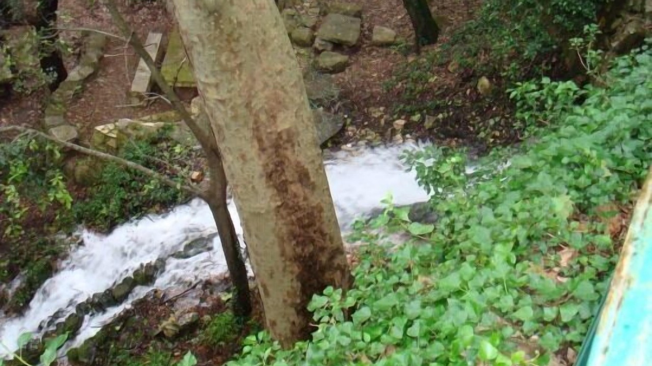 Photo of Outdoor in Pauls