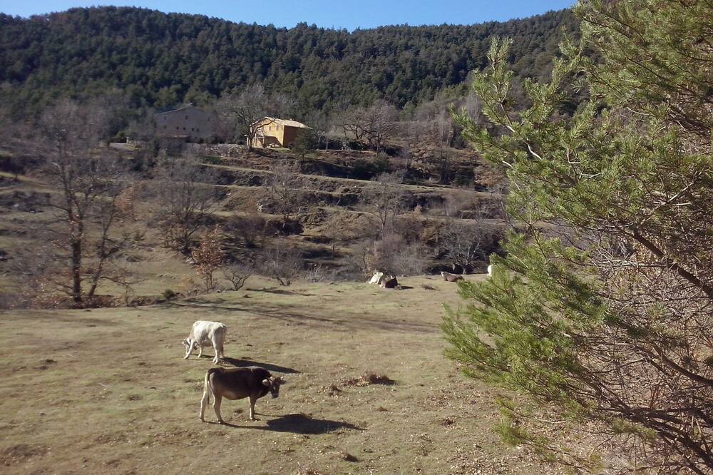 Photo of Outdoor in Capolat
