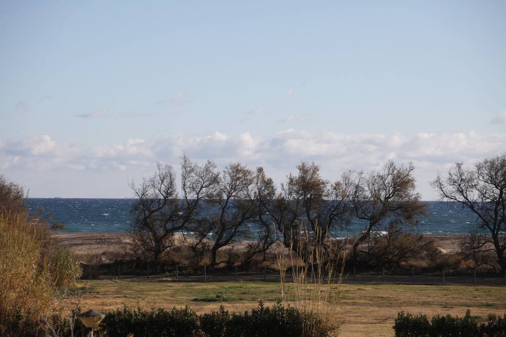 Photo of Others in Sant Pere Pescador