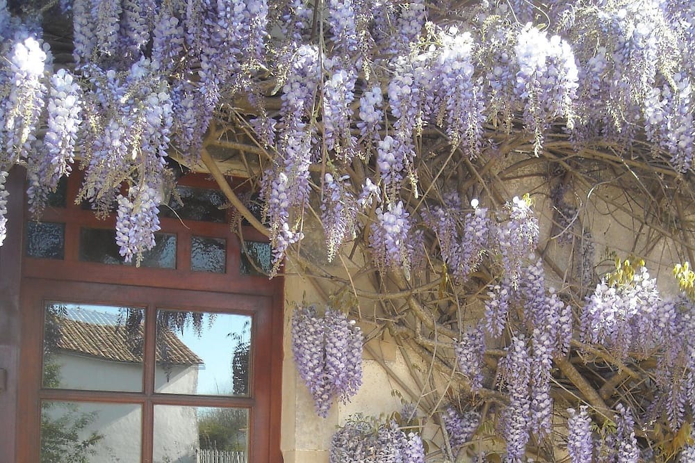 Photo of Others in La Chapelle-Pouilloux