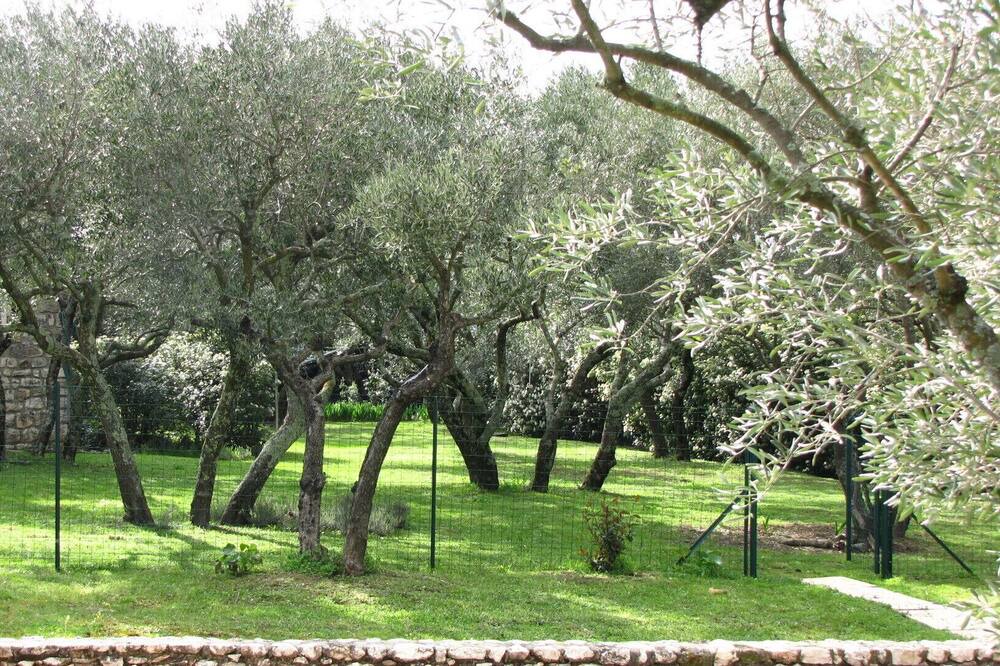 Photo of Outdoor in Sagries