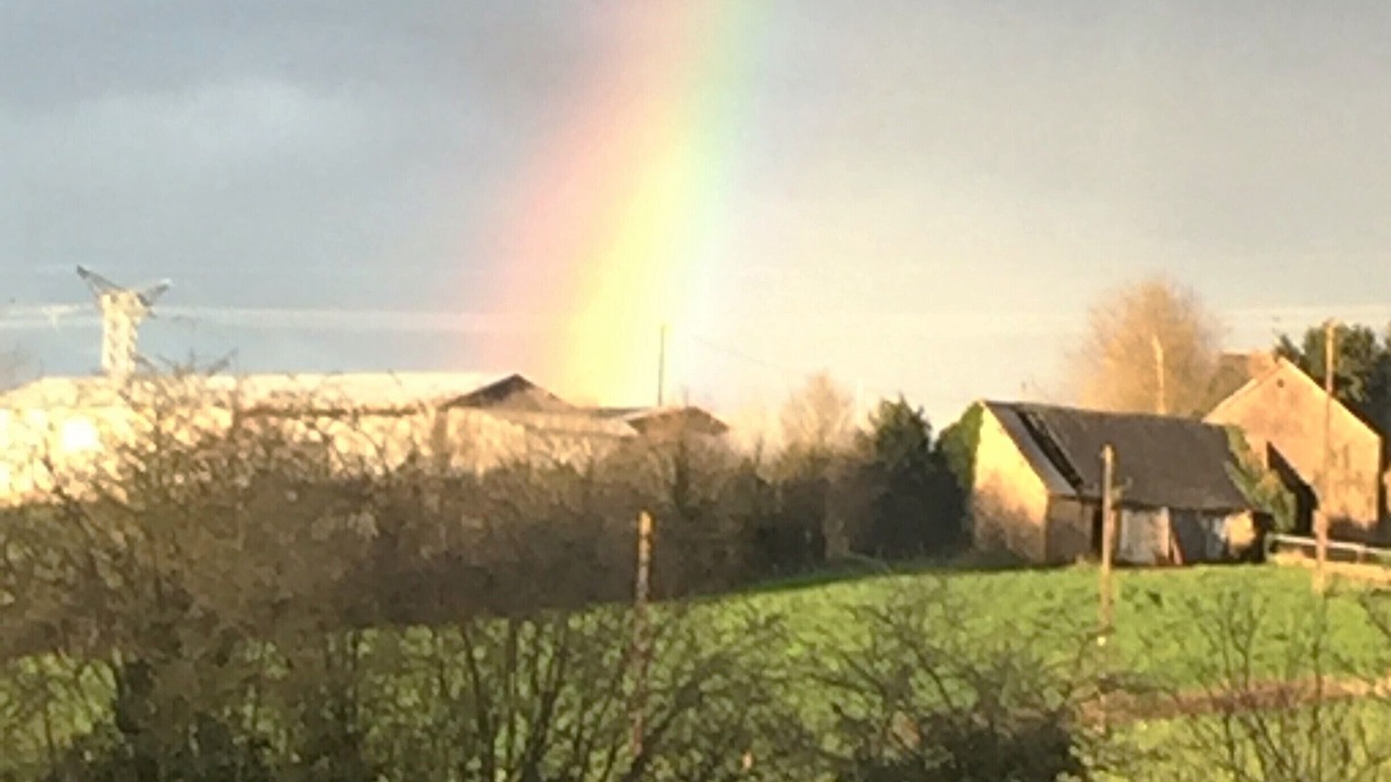 Photo of Outdoor in Saint-Berthevin-la-Tanniere