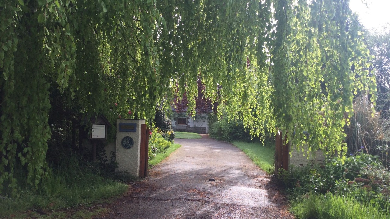 Photo of Outdoor in Saint-Berthevin-la-Tanniere