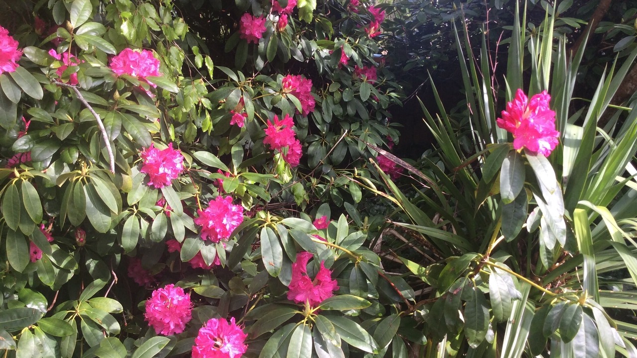 Photo of Outdoor in Saint-Berthevin-la-Tanniere