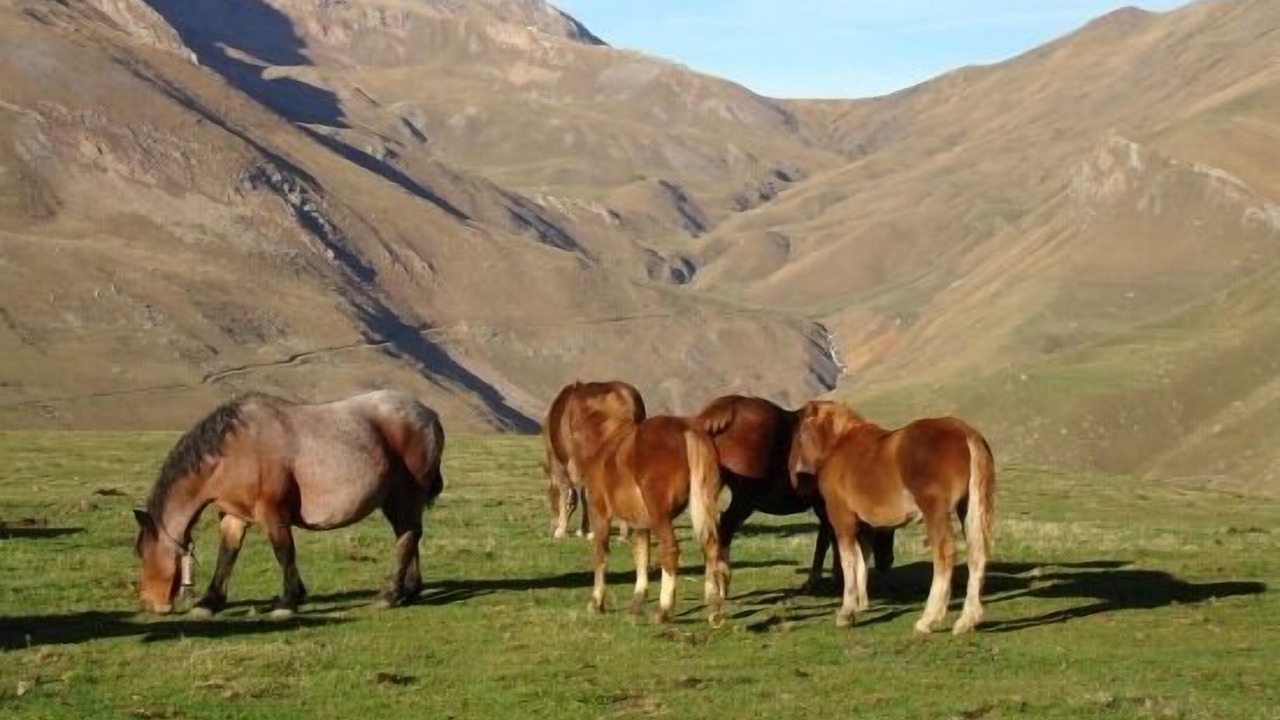 Photo of Outdoor in Bonansa