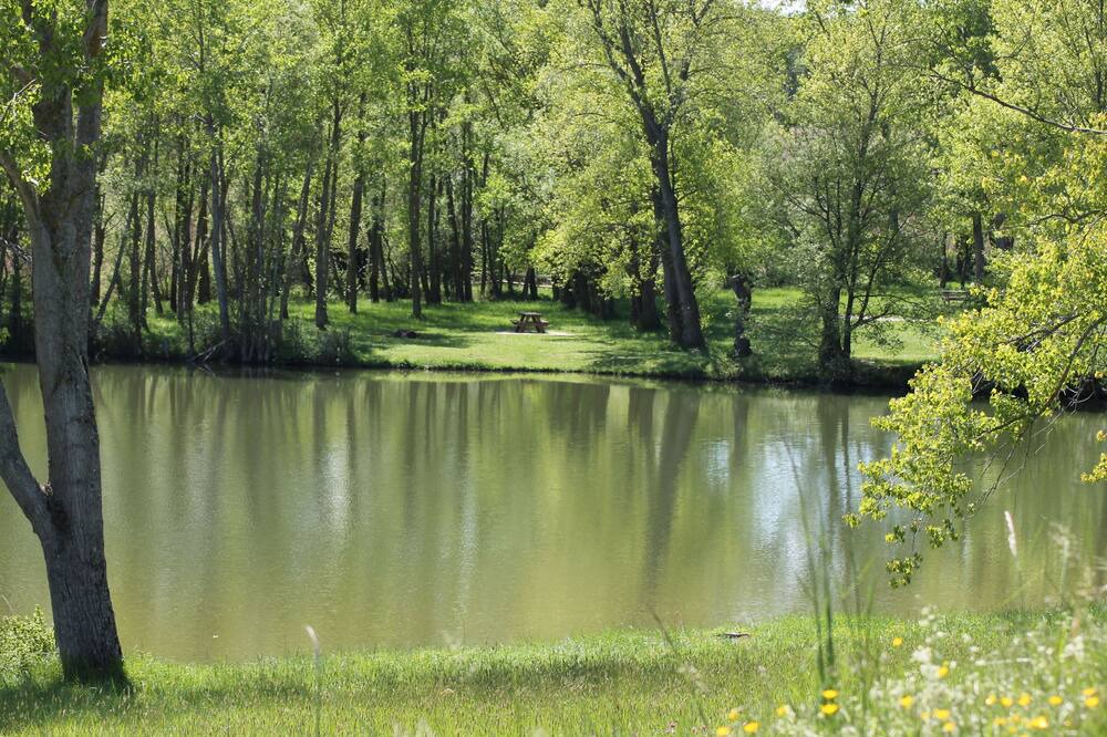 Photo of Outdoor in Escueillens-et-Saint-Just-de-Belengard