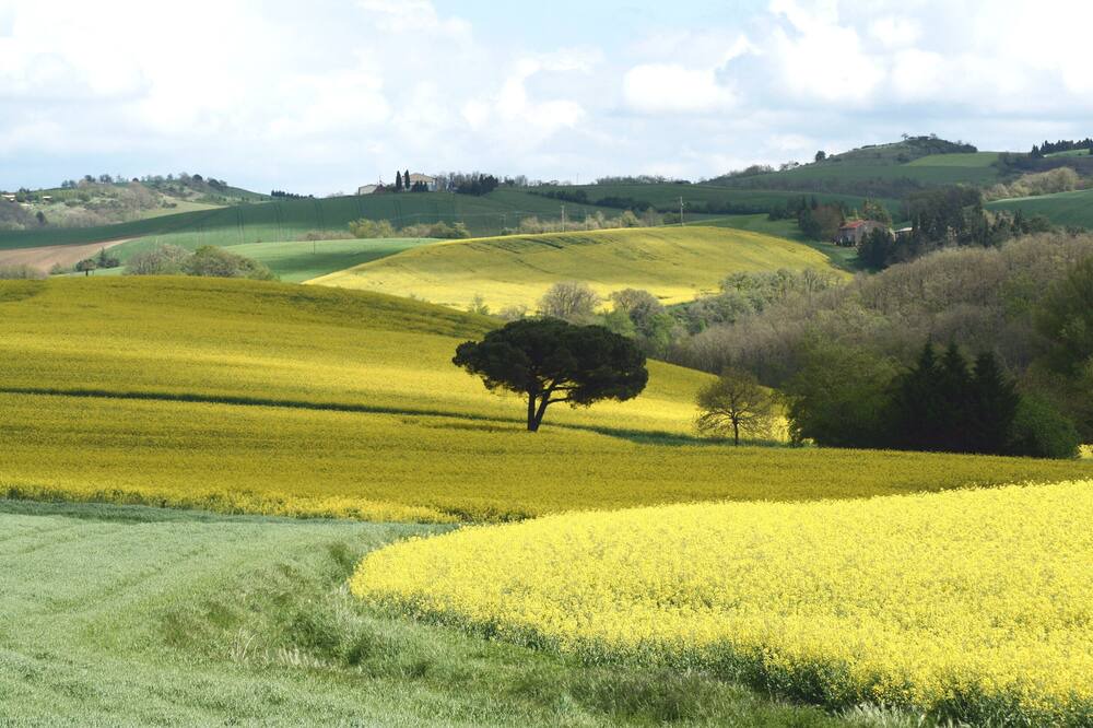 Photo of Others in Escueillens-et-Saint-Just-de-Belengard
