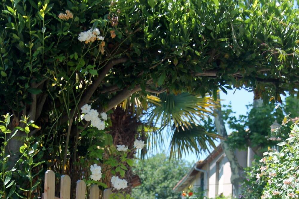 Photo of Outdoor in Escueillens-et-Saint-Just-de-Belengard