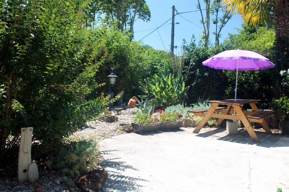 Photo of Outdoor in Escueillens-et-Saint-Just-de-Belengard