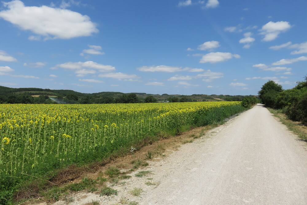 Photo of Others in Escueillens-et-Saint-Just-de-Belengard