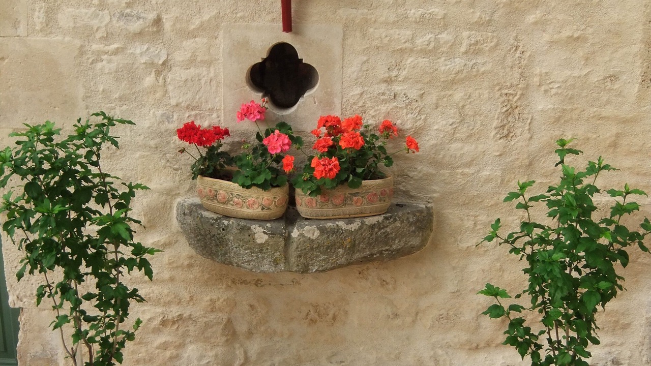 Photo of Outdoor in Lorigne