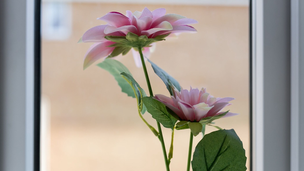 Photo of Others in Peterborough