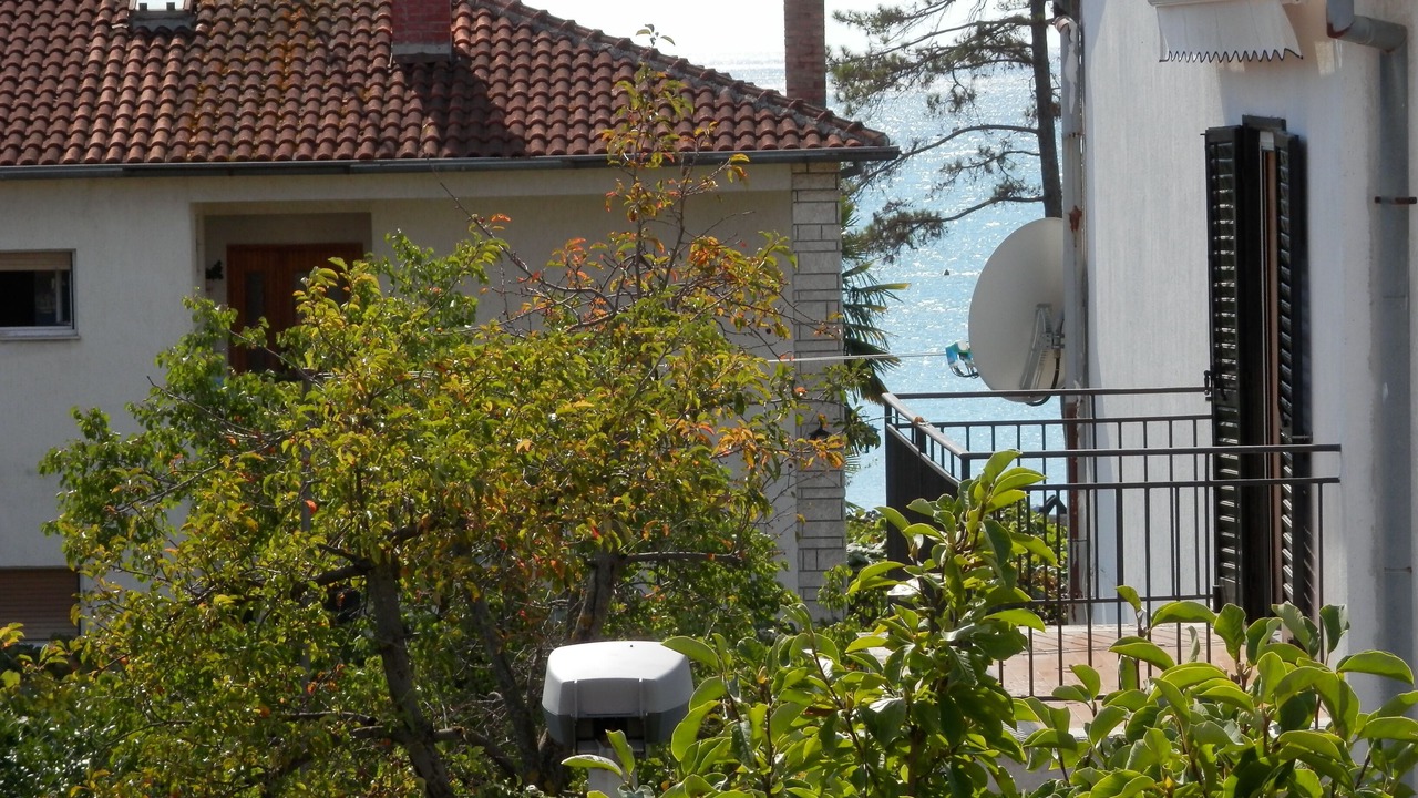 Photo of Outdoor in Borik