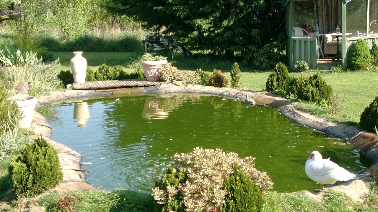 Photo of Outdoor in Mantilly