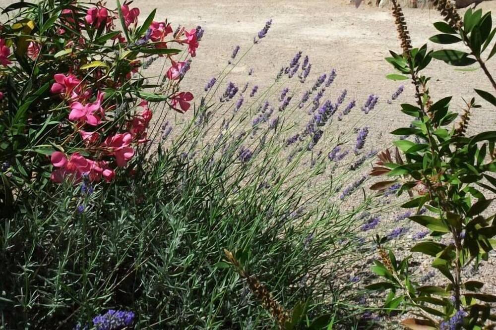 Photo of Outdoor in Vidauban