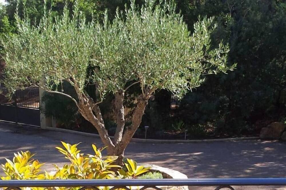 Photo of Others in Vidauban