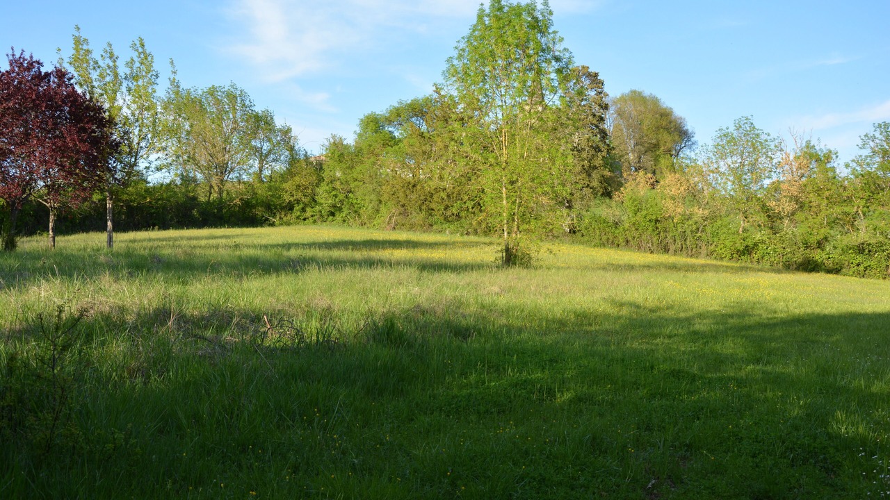 Photo of Others in Justian
