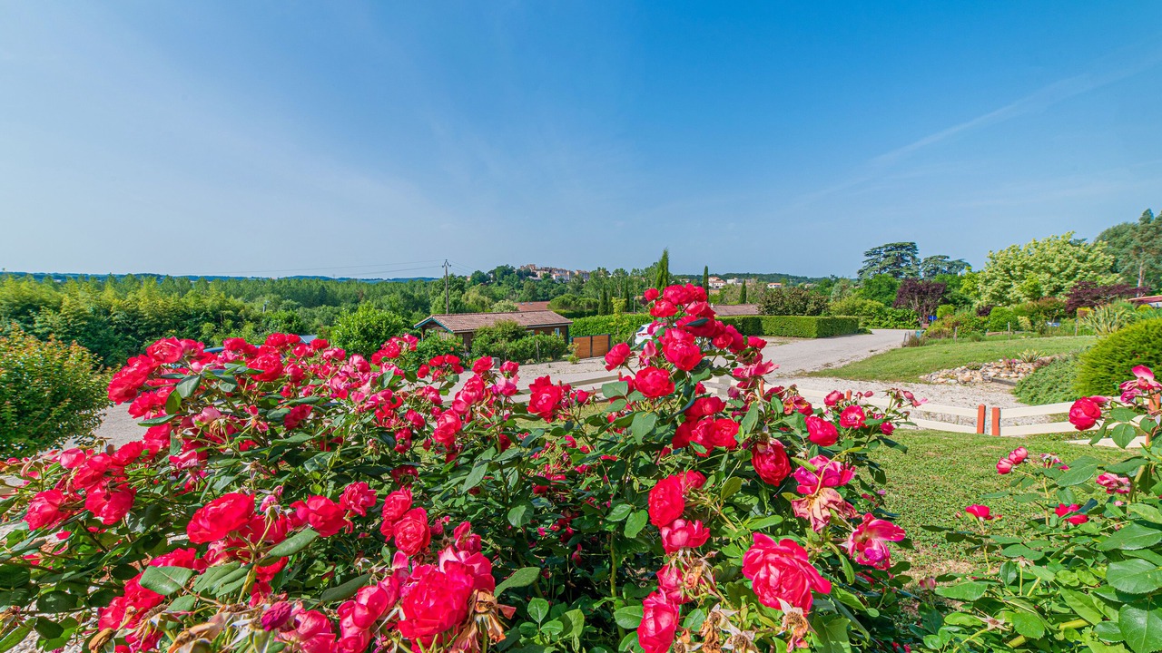 Photo of Outdoor in Verteuil-dAgenais