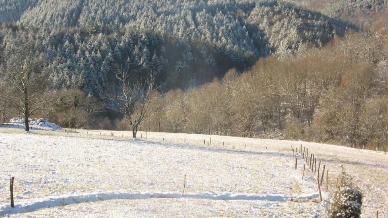 Photo of Others in Uzer