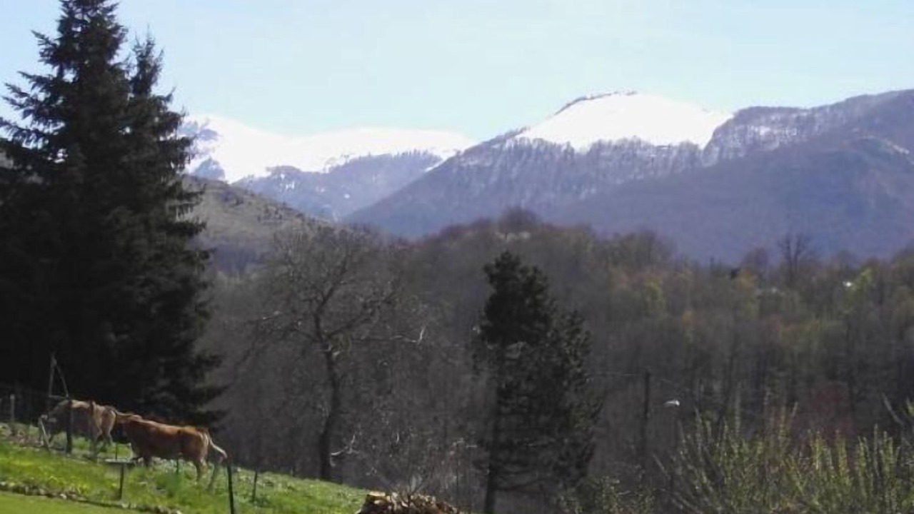 Photo of Outdoor in Uzer