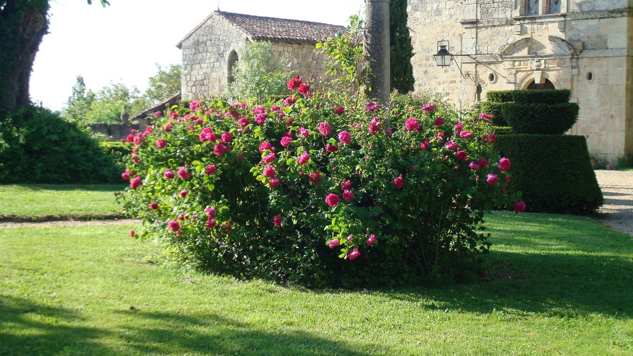 Photo of Outdoor in Frechou